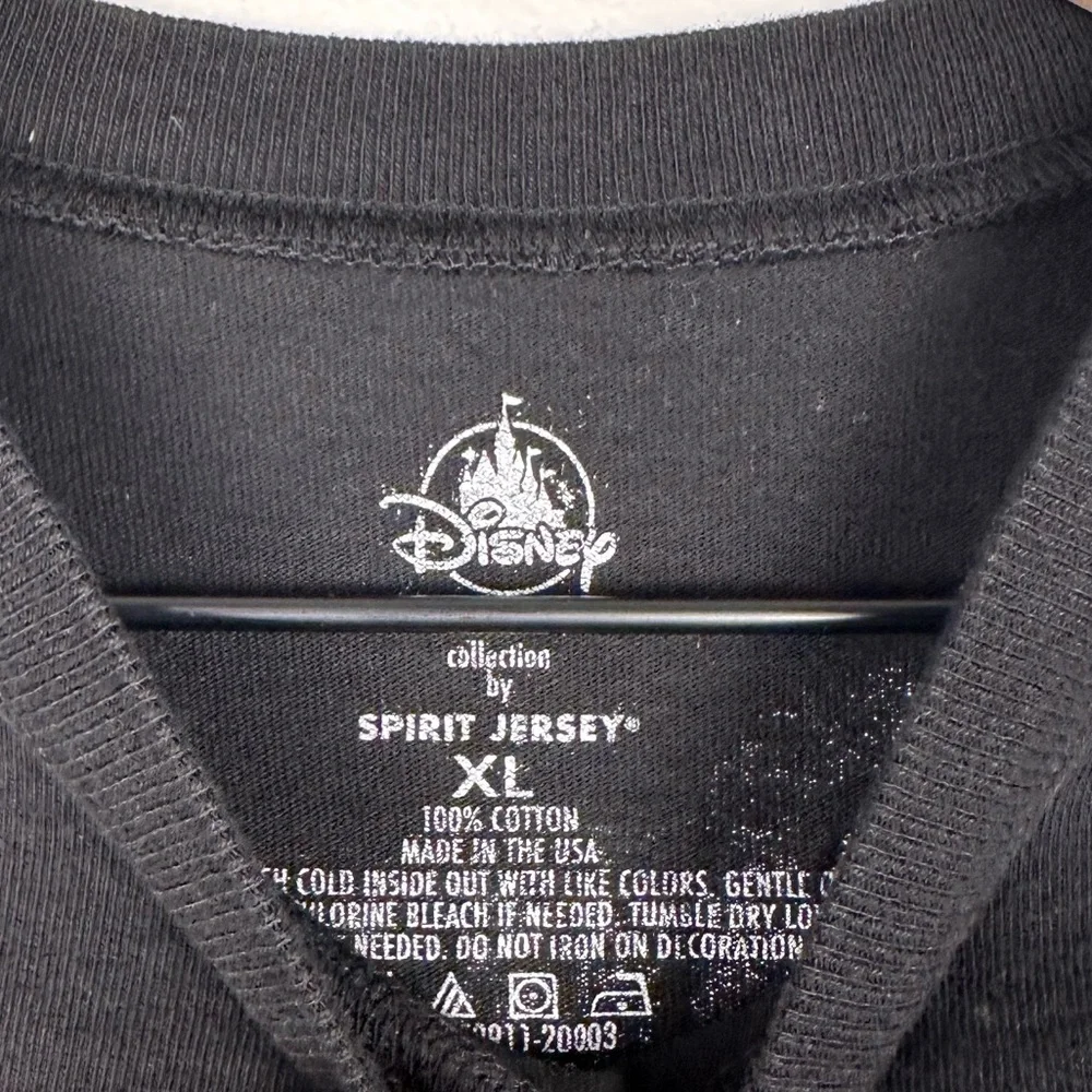 Disney parks spirit